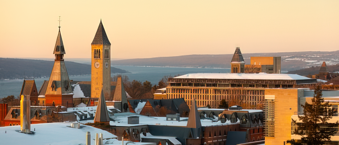 First year PhD students gain experience in NYC through ARC fellowship